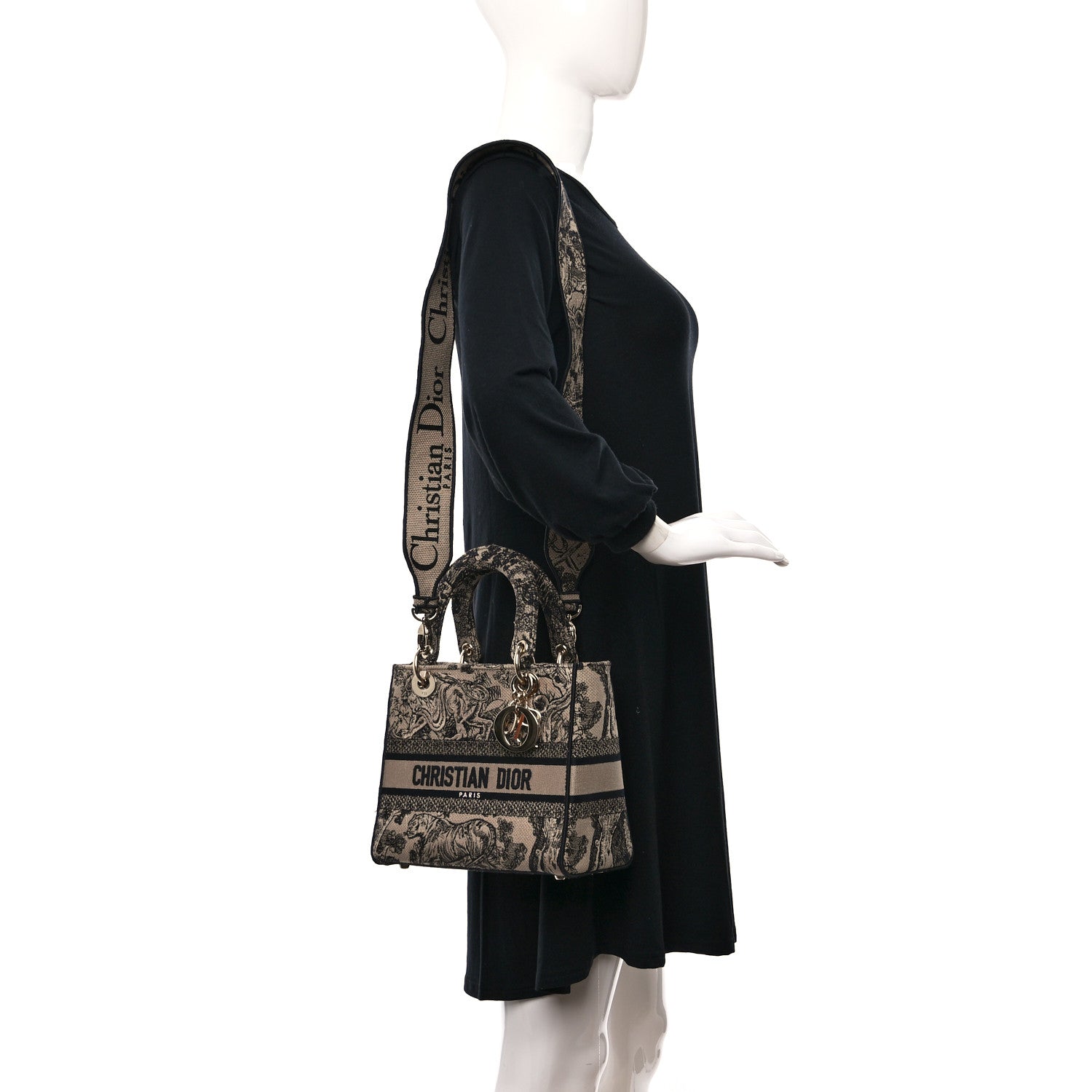 Christian Dior Toile de Jouy Embroidered Medium Lady D-Lite Beige Mullticolor 2 of 8