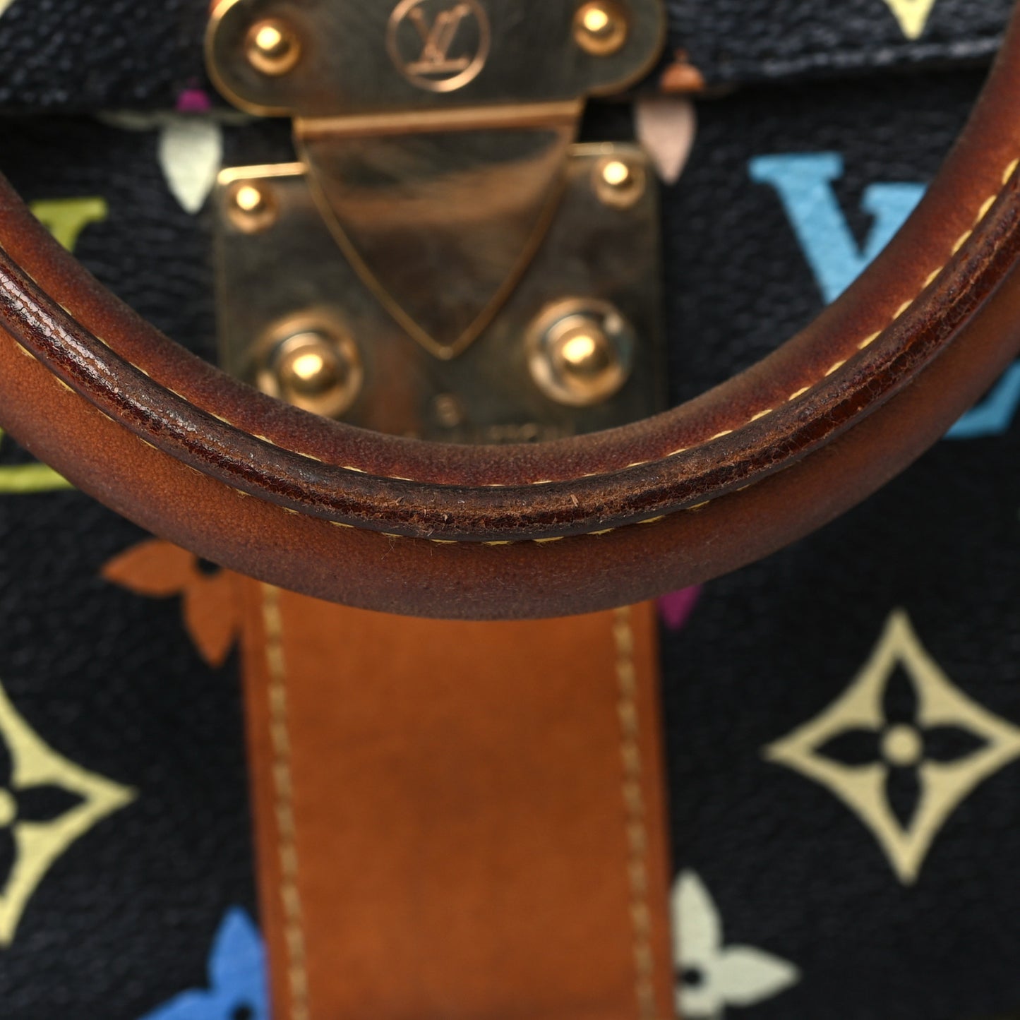 Monogram Multicolor Speedy 30 Black
