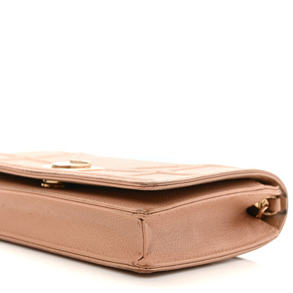 Christian Dior Grained Calfskin Diorama Wallet on Chain Pouch Fard 8 of 12