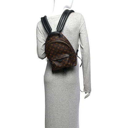 Louis Vuitton Monogram Palm Springs Backpack PM 2 of 10