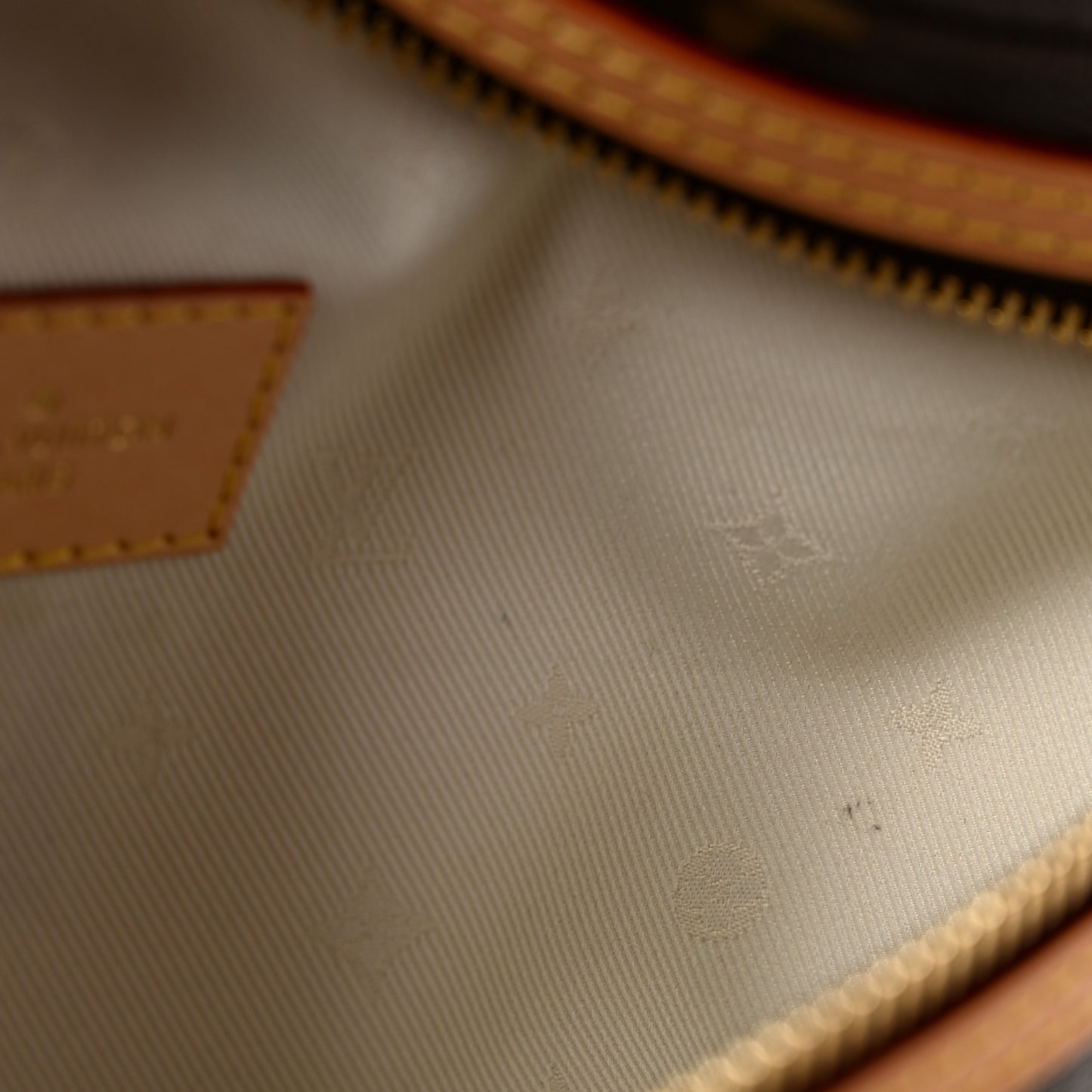 Monogram High Rise Bumbag