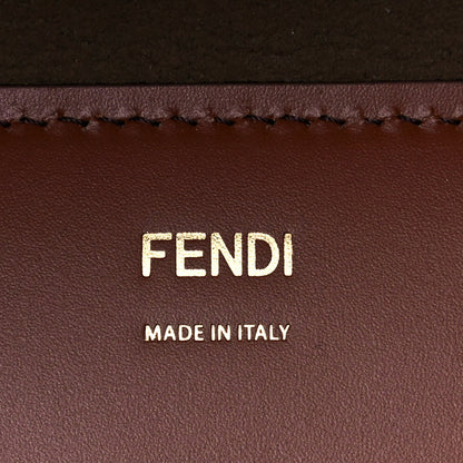 Fendi Vitello King Plexiglass Large Fendi Sunshine Shopper Tote Cuoio 6 of 10
