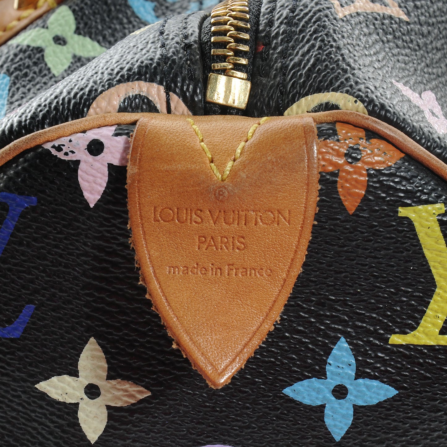 Monogram Multicolor Speedy 30 Black