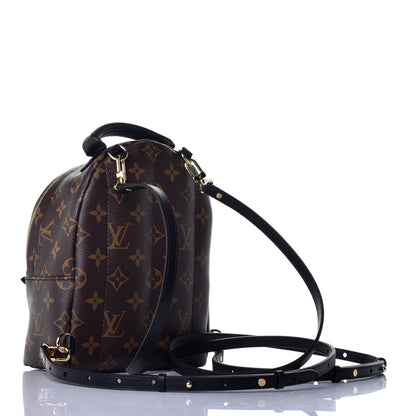Louis Vuitton Monogram Palm Springs Backpack Mini 2 of 8
