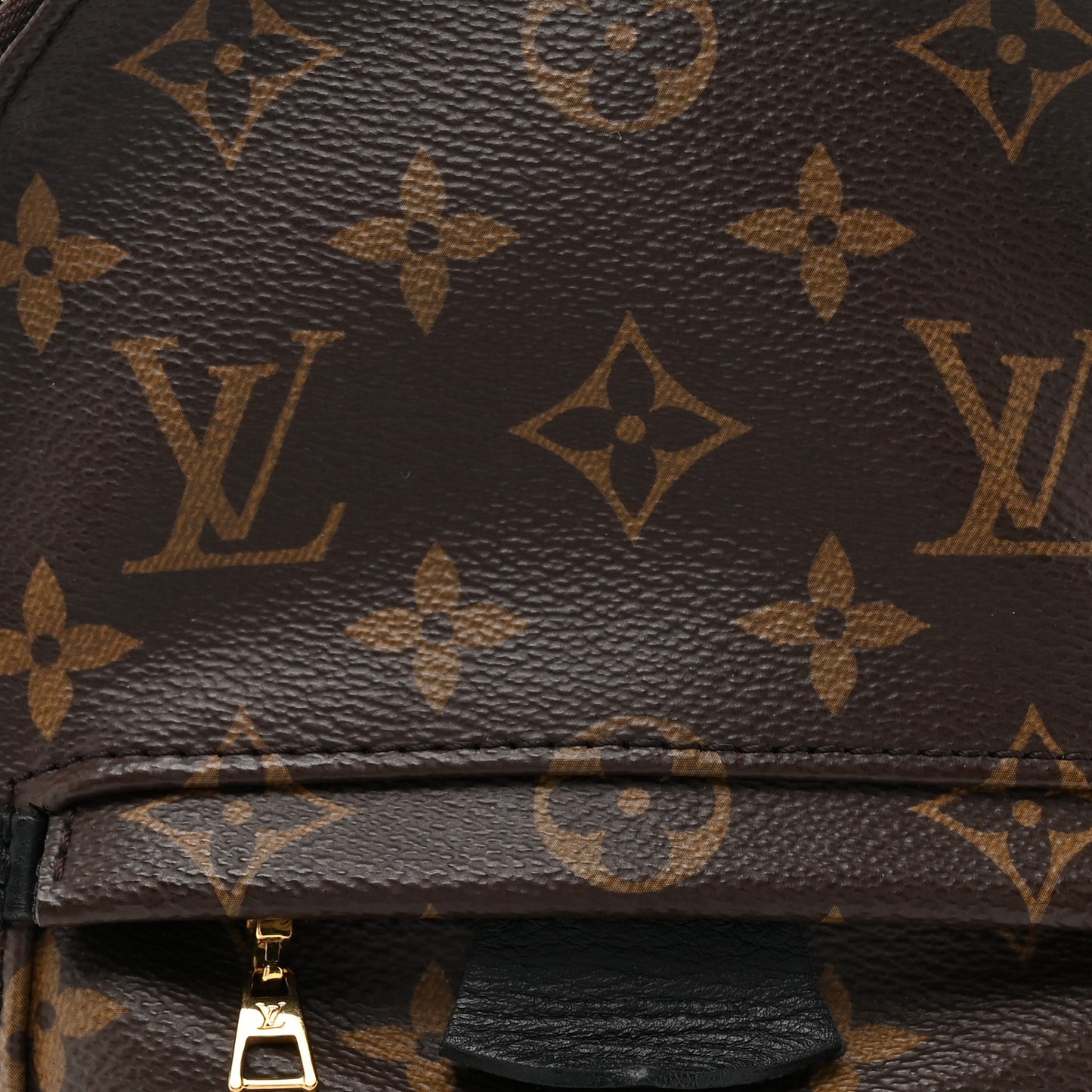 Monogram Palm Springs Backpack Mini