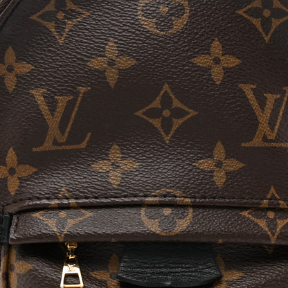 Louis Vuitton Monogram Palm Springs Backpack Mini 7 of 14