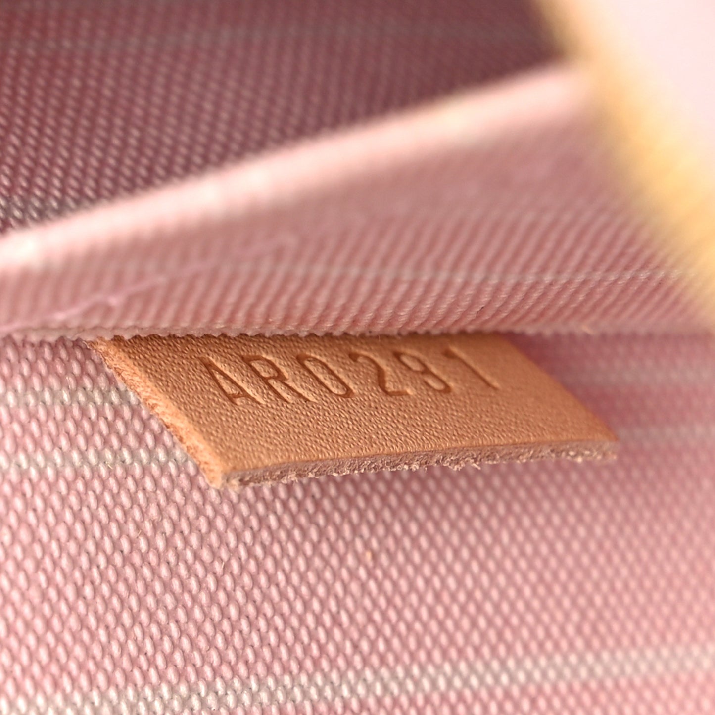 Monogram By The Pool Neverfull MM Pochette Light Pink