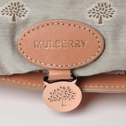 Mulberry Soft Buffalo Medium Alexa Plaster Pink 18 of 25