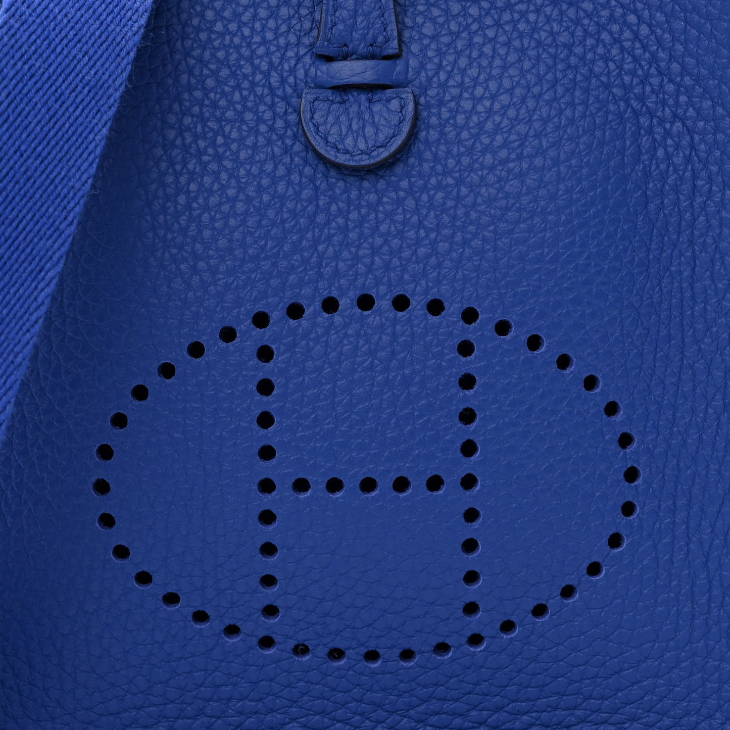 Taurillon Clemence Evelyne TPM Bleu Royal