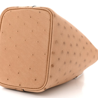 Hermes Ostrich Micro Picotin Lock Chai 10 of 10