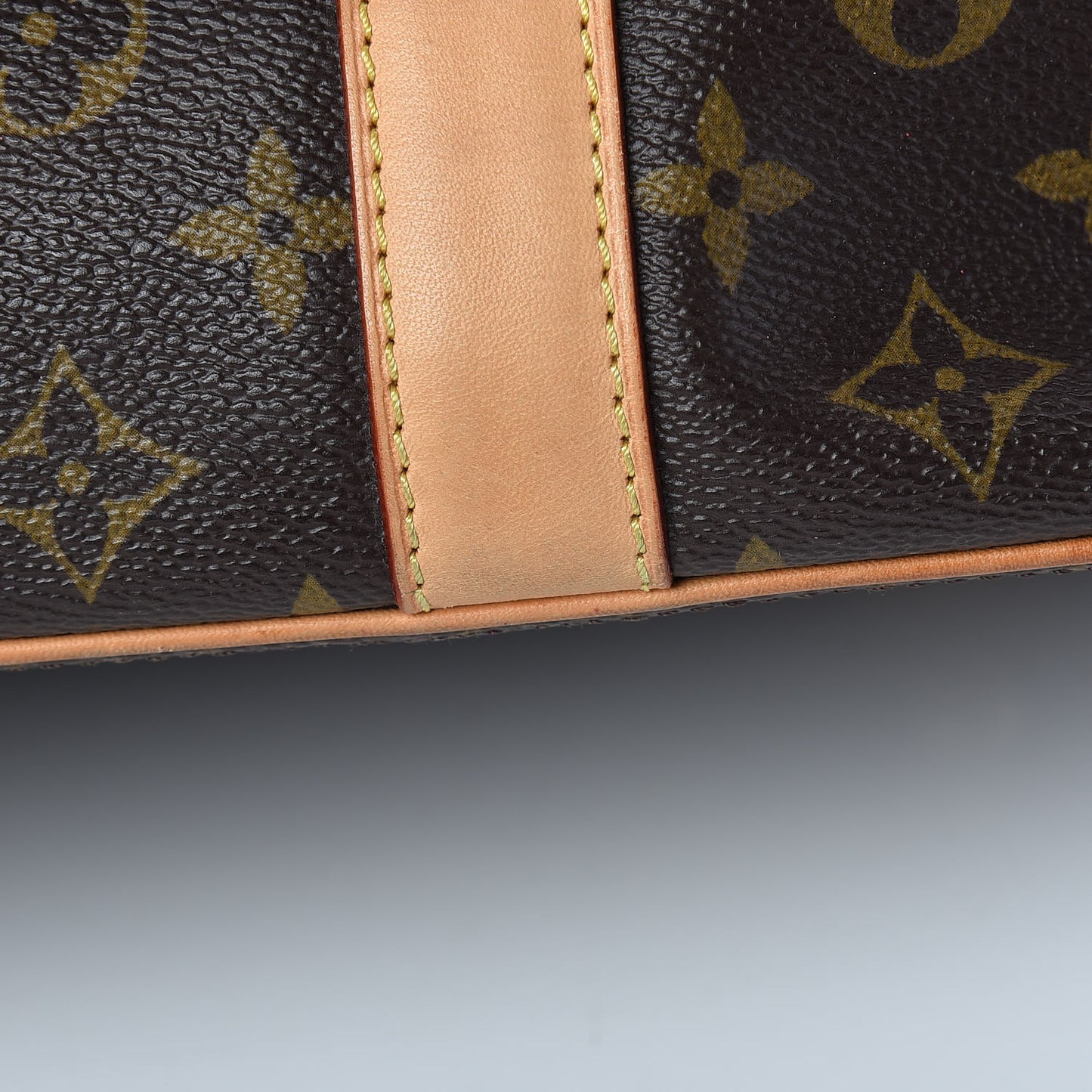 Monogram Salina MM Rubis
