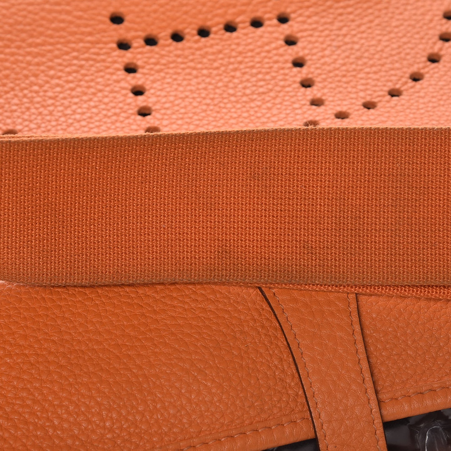 Taurillon Clemence Evelyne III GM Orange