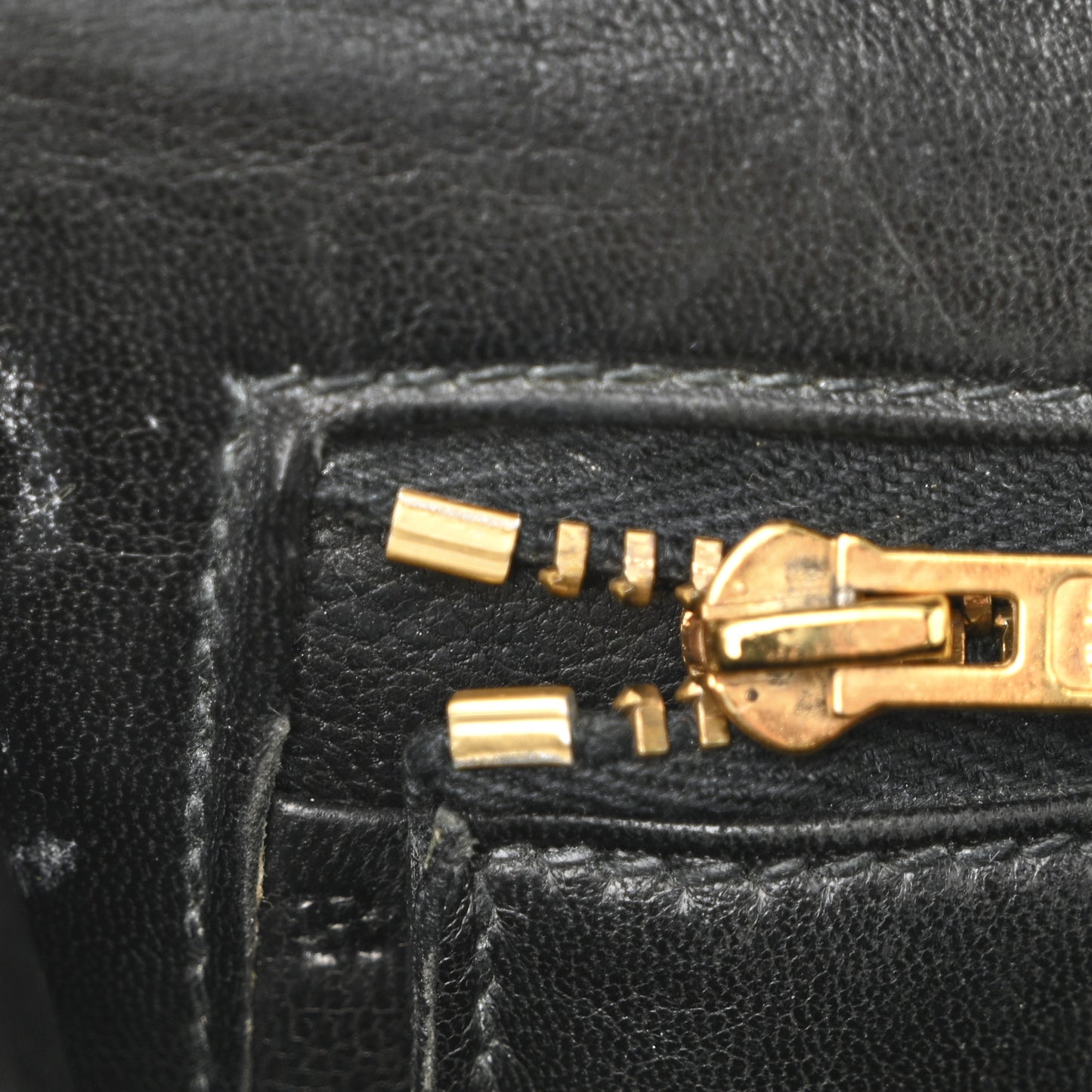 Shiny Caiman Crocodile Constance 23 Black