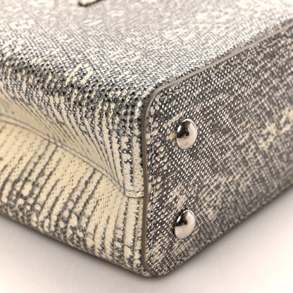 Louis Vuitton Lizard Mini Capucines Argento 7 of 9