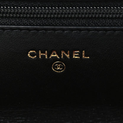Chanel Lambskin Quilted Chanel 19 Wallet On Chain WOC Black 5 of 10