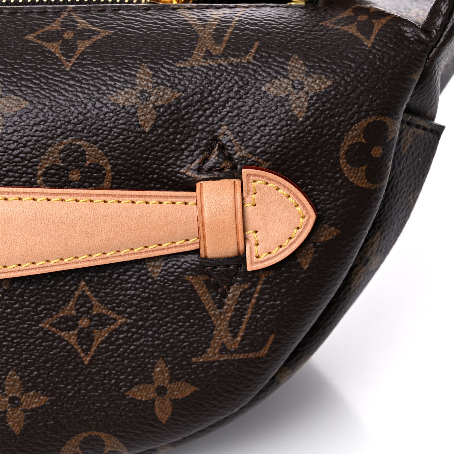 Louis Vuitton Monogram Bumbag 12 of 14