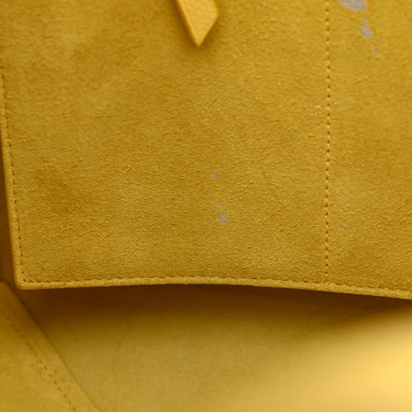 Soft Grained Calfskin Small Belt Cabas Phantom Citron