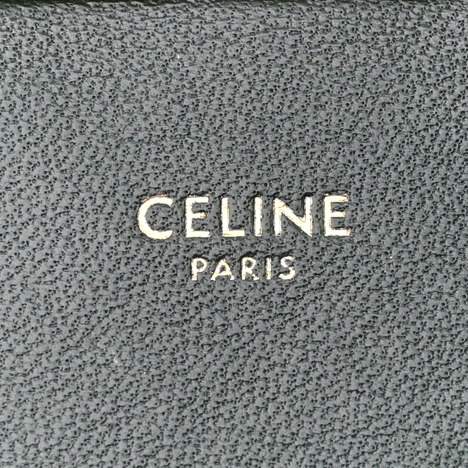 Celine Watersnake Teen Triomphe Green 7 of 14