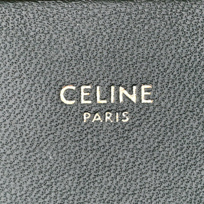Celine Watersnake Teen Triomphe Green 7 of 14