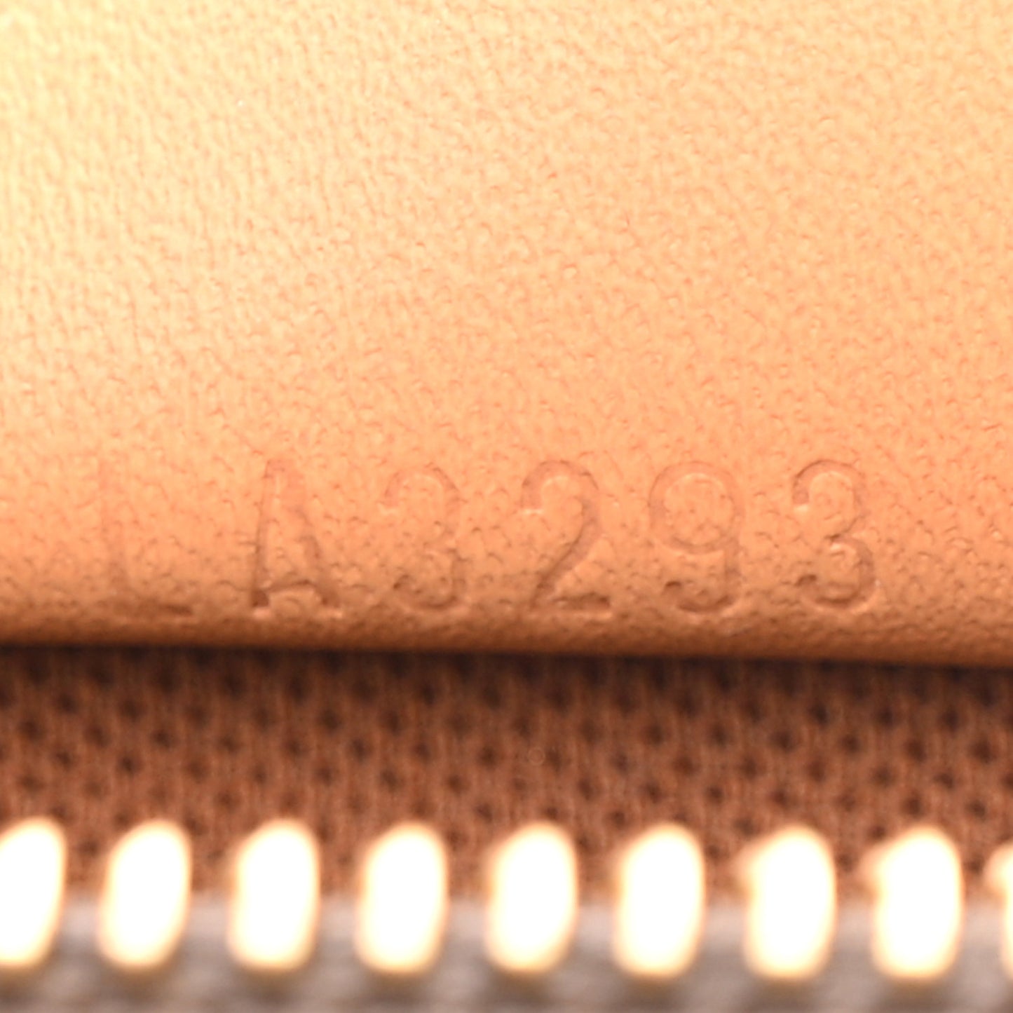 Monogram Nano Speedy Bandouliere
