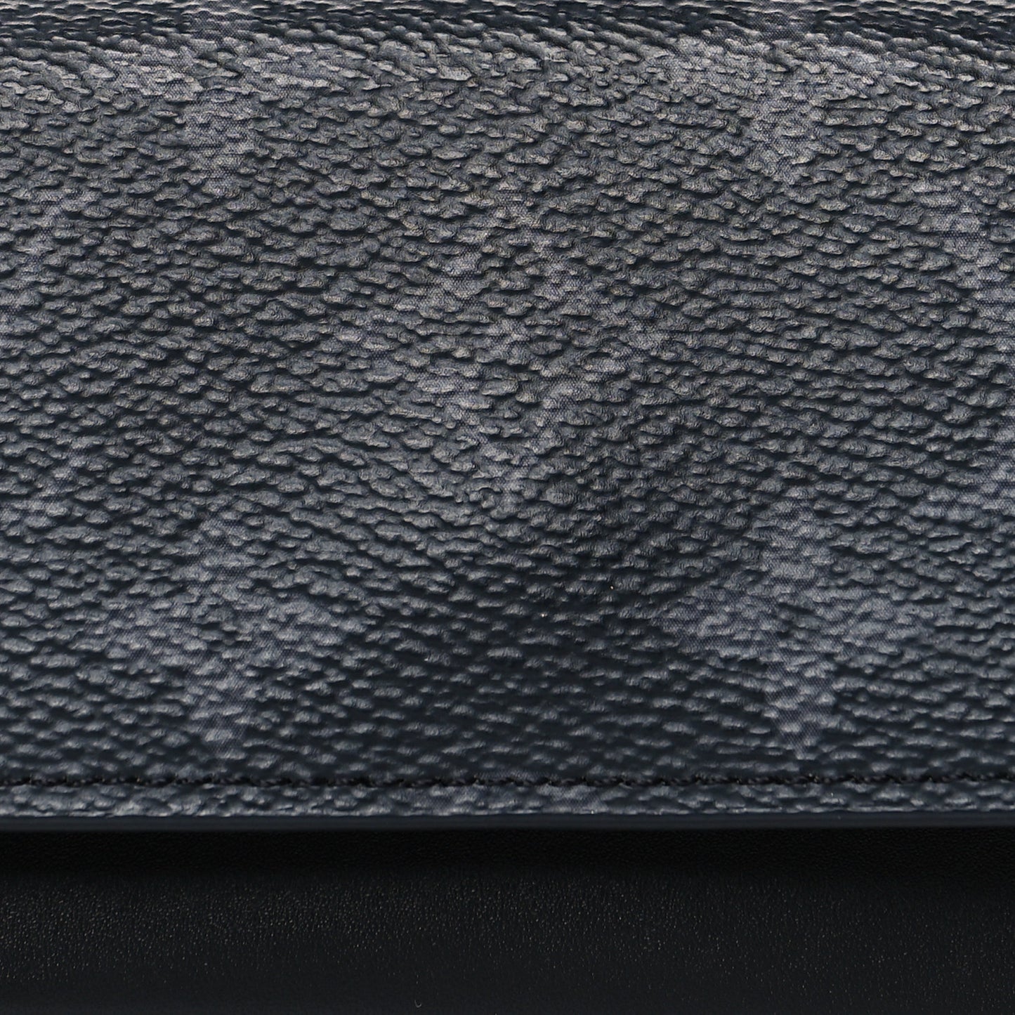 Monogram Eclipse Woody Sunglass Case