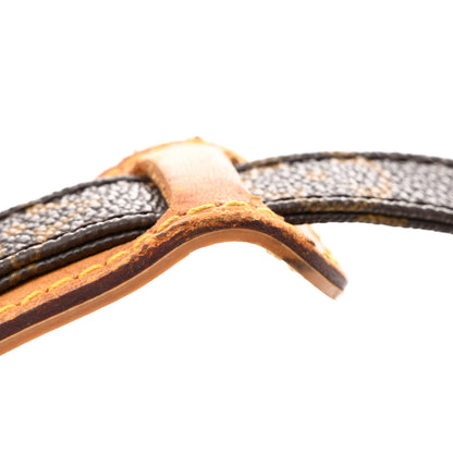 Louis Vuitton Monogram Amazone 17 of 18
