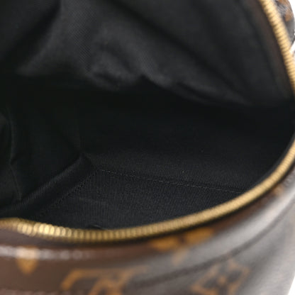 Louis Vuitton Monogram Palm Springs Backpack Mini 5 of 10