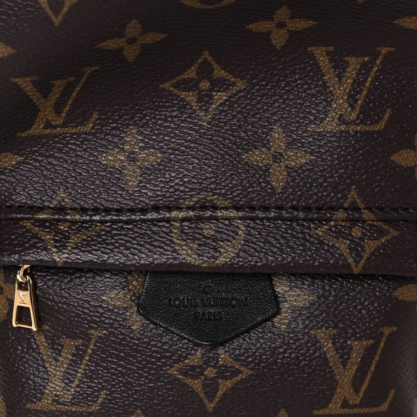 Monogram Palm Springs Backpack Mini