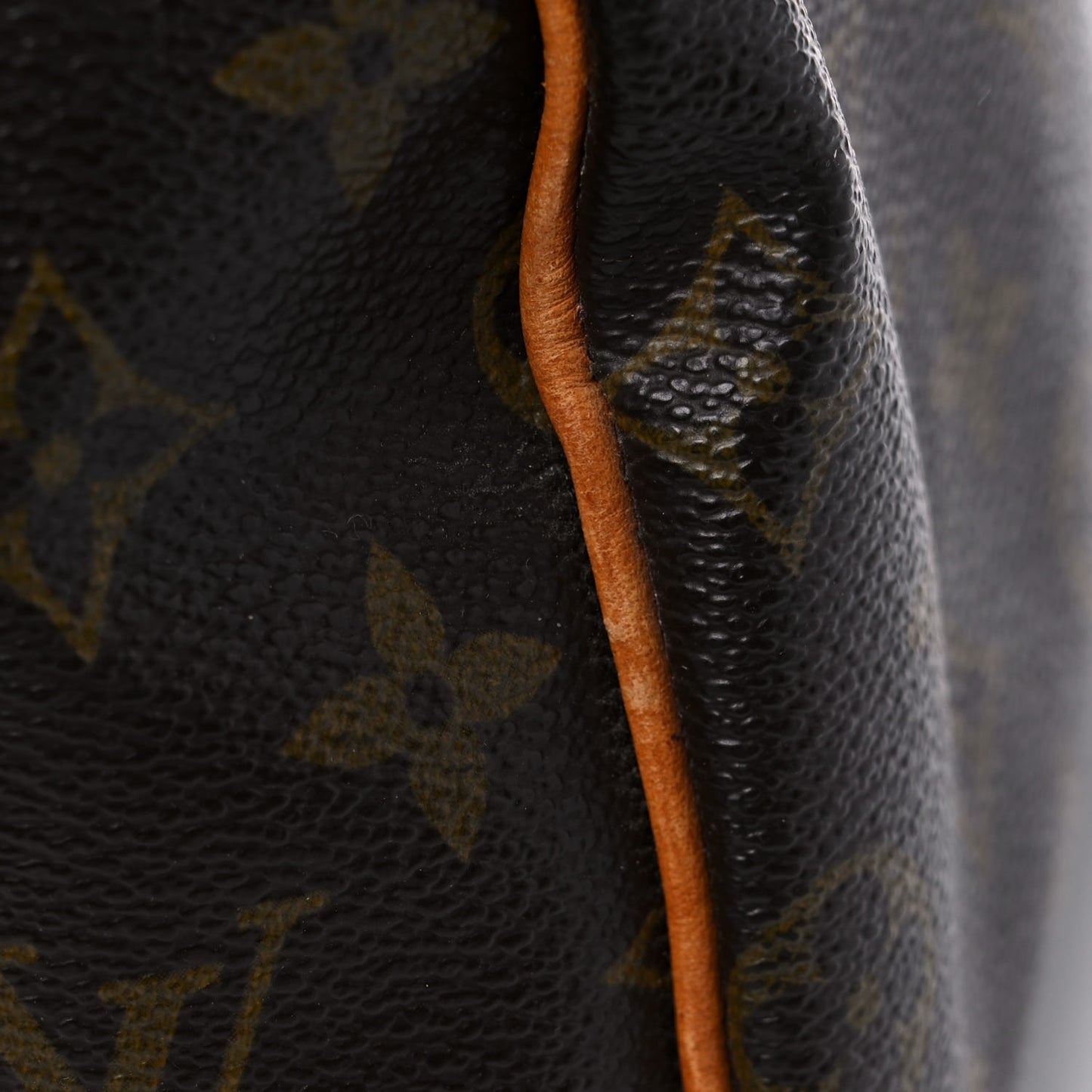 Monogram Speedy 25