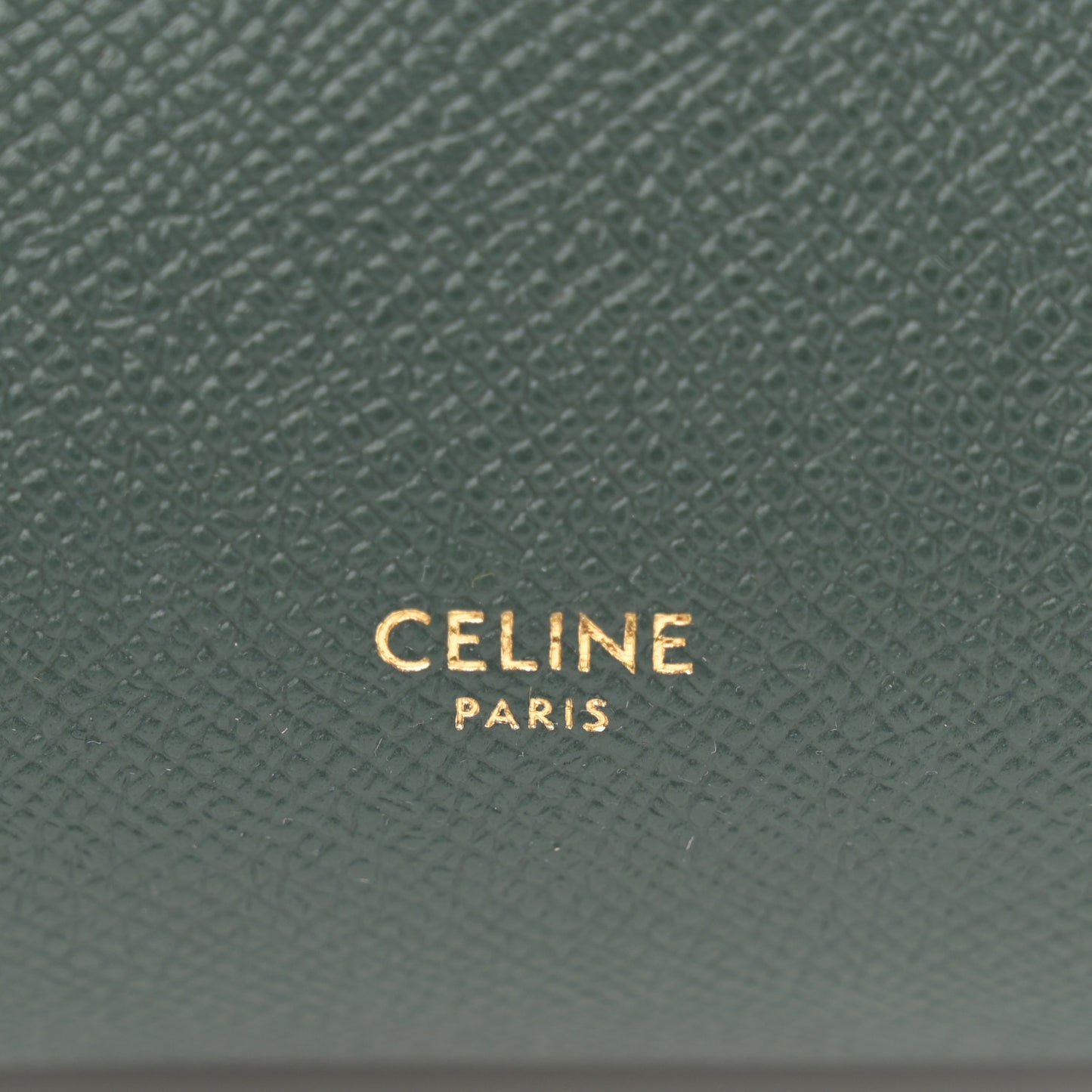 Grained Calfskin Nano Belt Bag Amazone