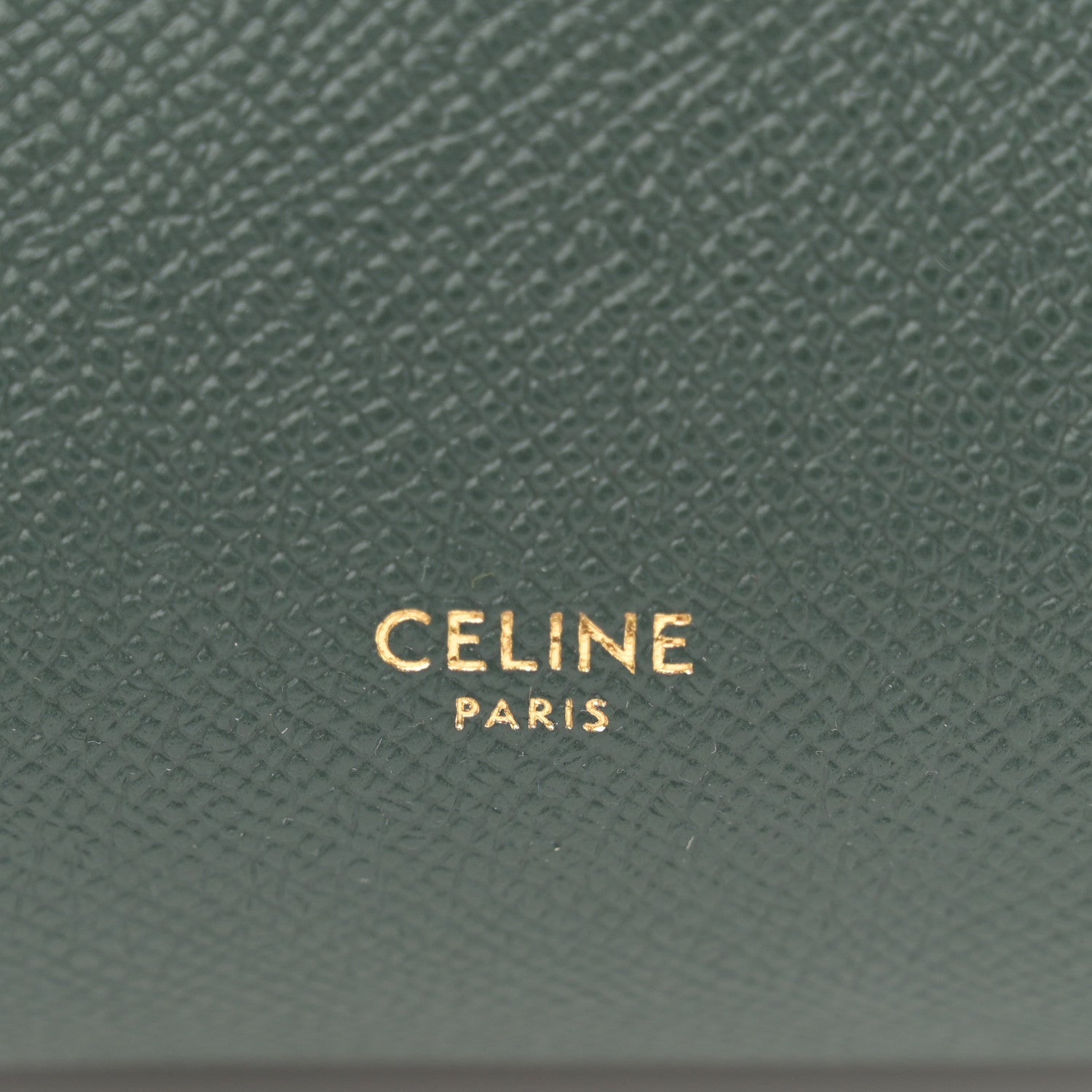 Celine Grained Calfskin Nano Belt Bag Amazone 6 of 10