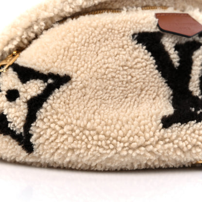 Louis Vuitton Monogram Teddy Bumbag 7 of 9
