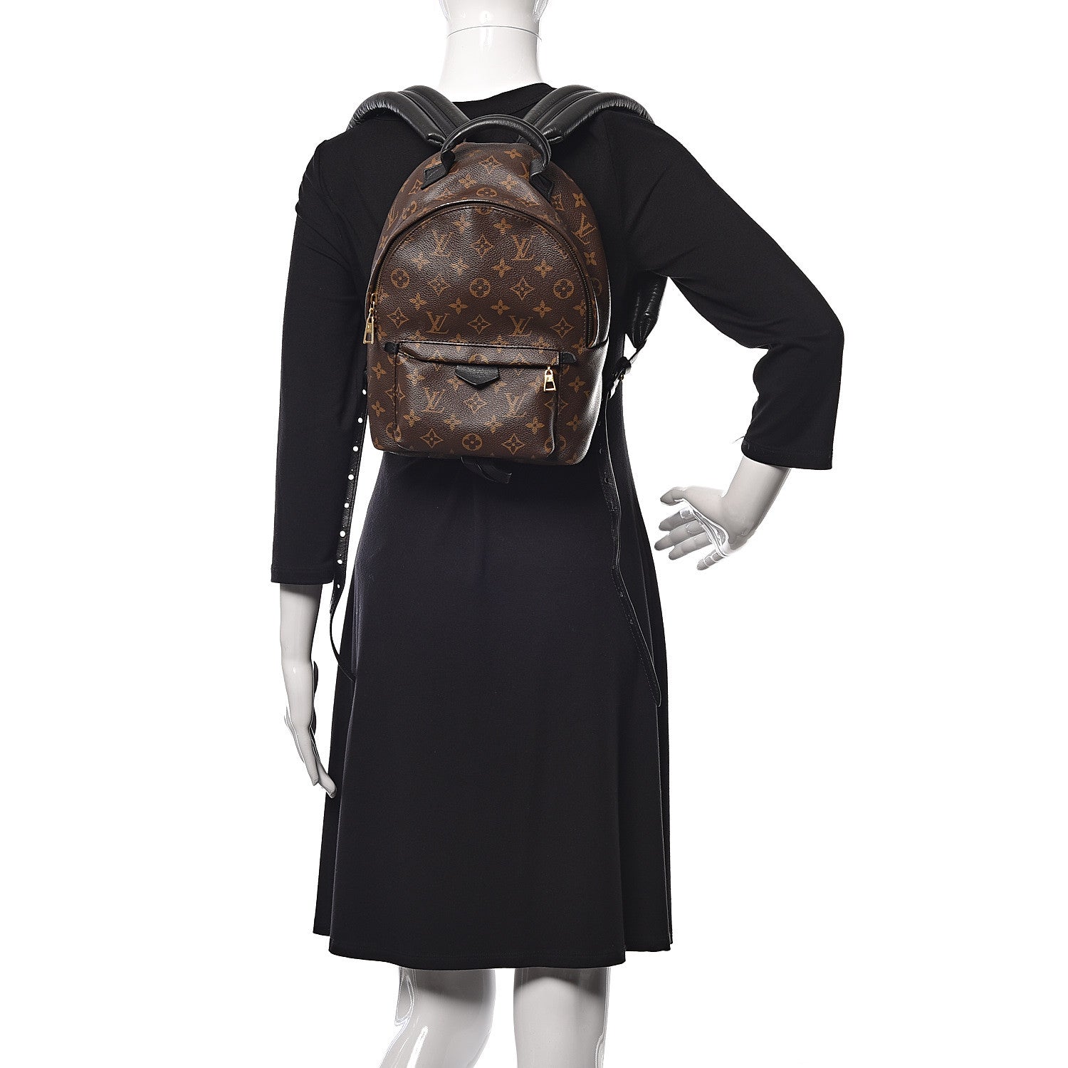 Louis Vuitton Monogram Palm Springs Backpack PM 2 of 8
