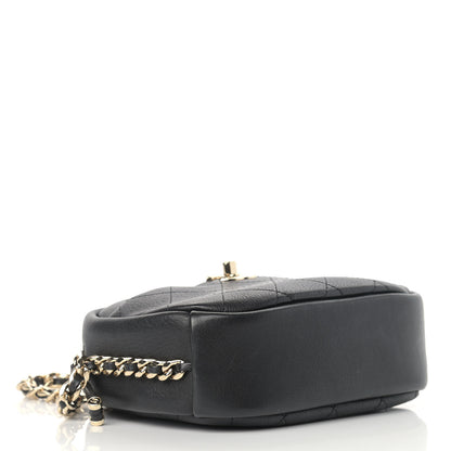 Chanel Goatskin Quilted Small Casual Trip Camera Case Black 4 of 11