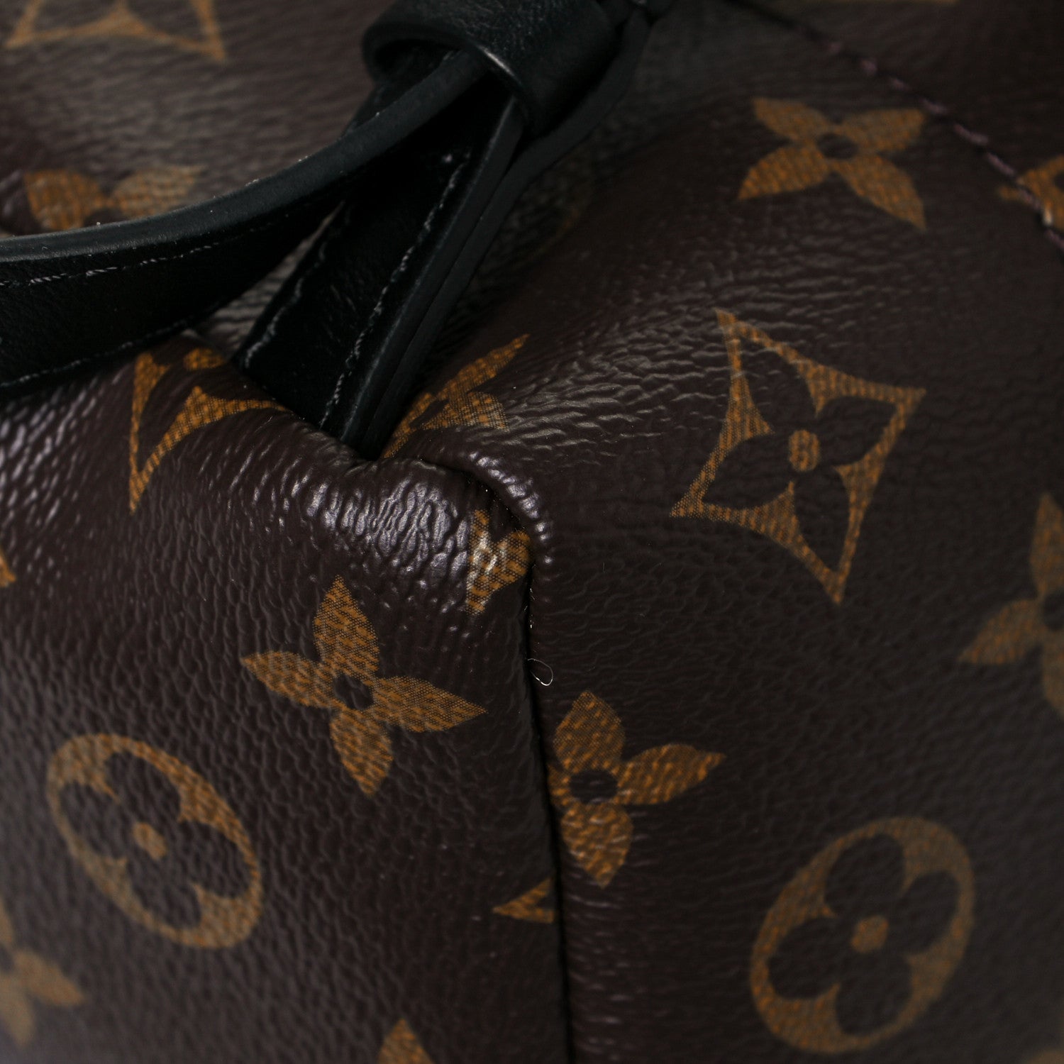 Louis Vuitton Monogram Palm Springs Backpack PM 10 of 12