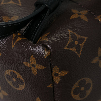 Louis Vuitton Monogram Palm Springs Backpack PM 10 of 12