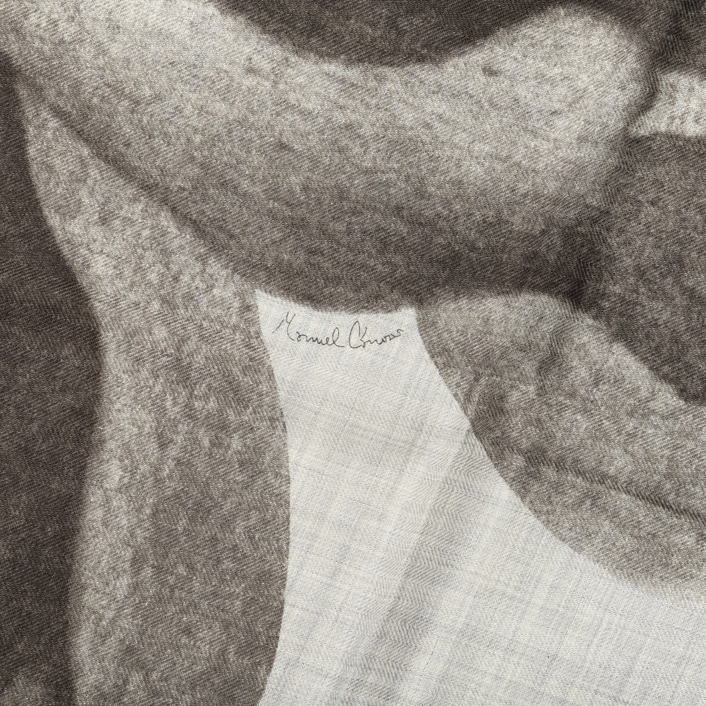 Cashmere Silk Une Rose Pour Alma Shawl 140 Gris Chine Sepia