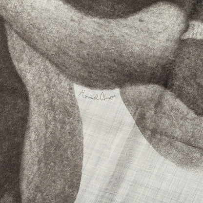 Hermes Cashmere Silk Une Rose Pour Alma Shawl 140 Gris Chine Sepia 5 of 5