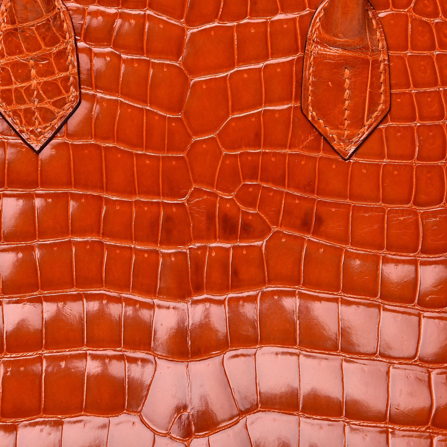 Shiny Porosus Crocodile Birkin 35 Orange