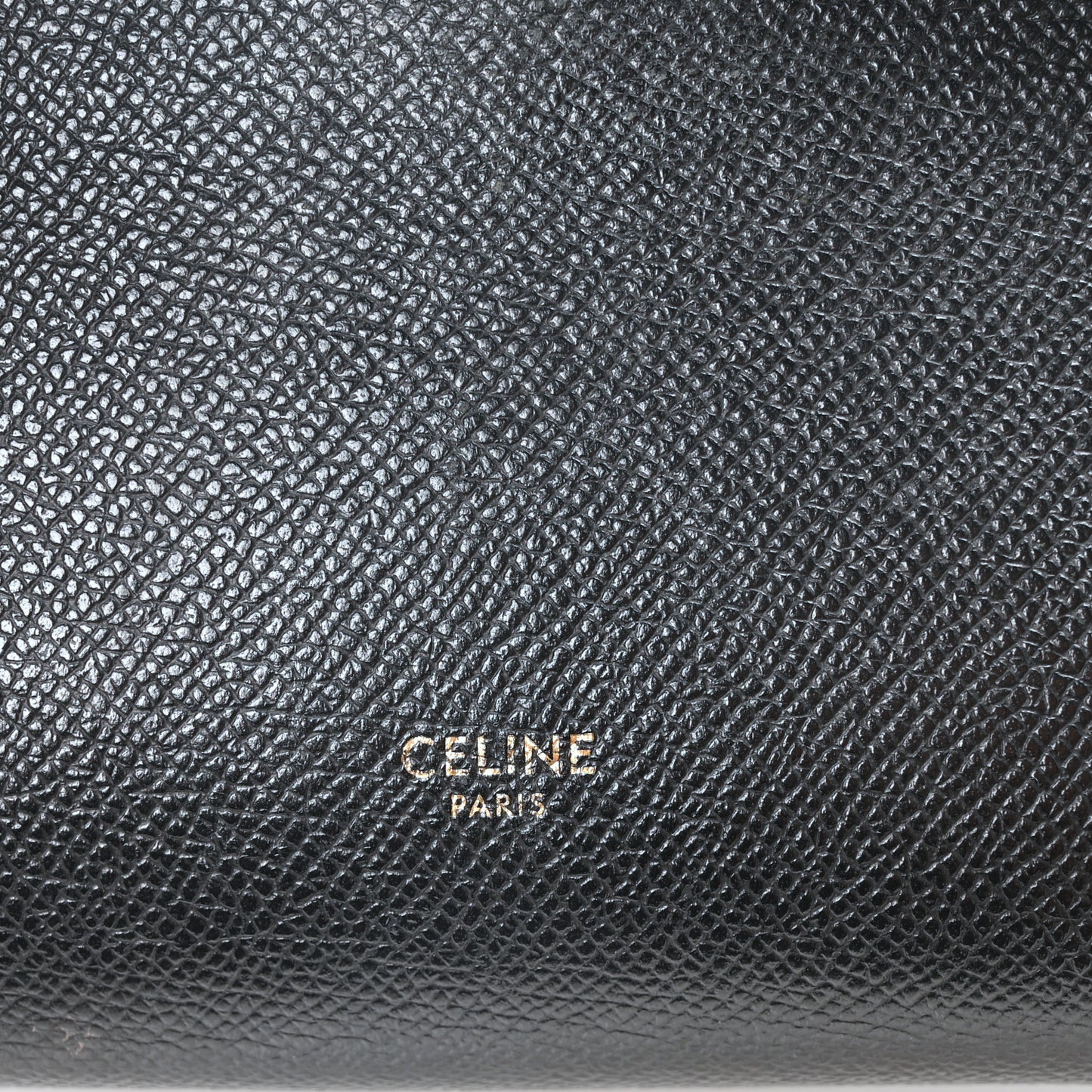 Grained Calfskin Nano Belt Bag Black