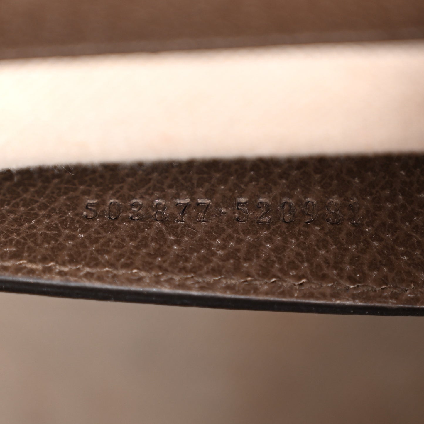Monogram Jumbo GG Textured Dollar Calfskin Web Small Ophidia Chain Shoulder Bag Camel Ebony New Acero