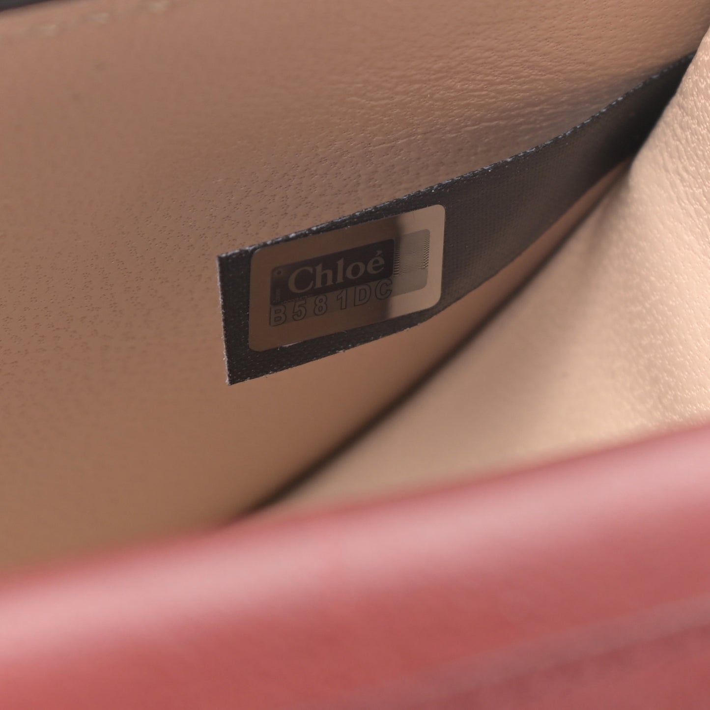 Calfskin Small Nile Bracelet Minaudiere Bag Sienna Red