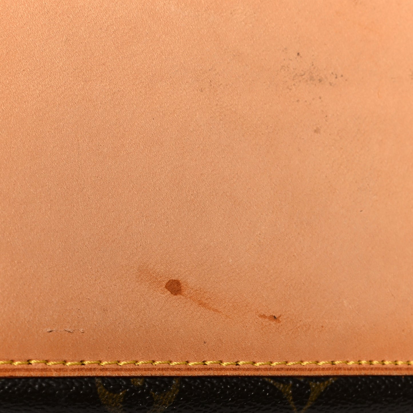 Monogram Cabas Mezzo