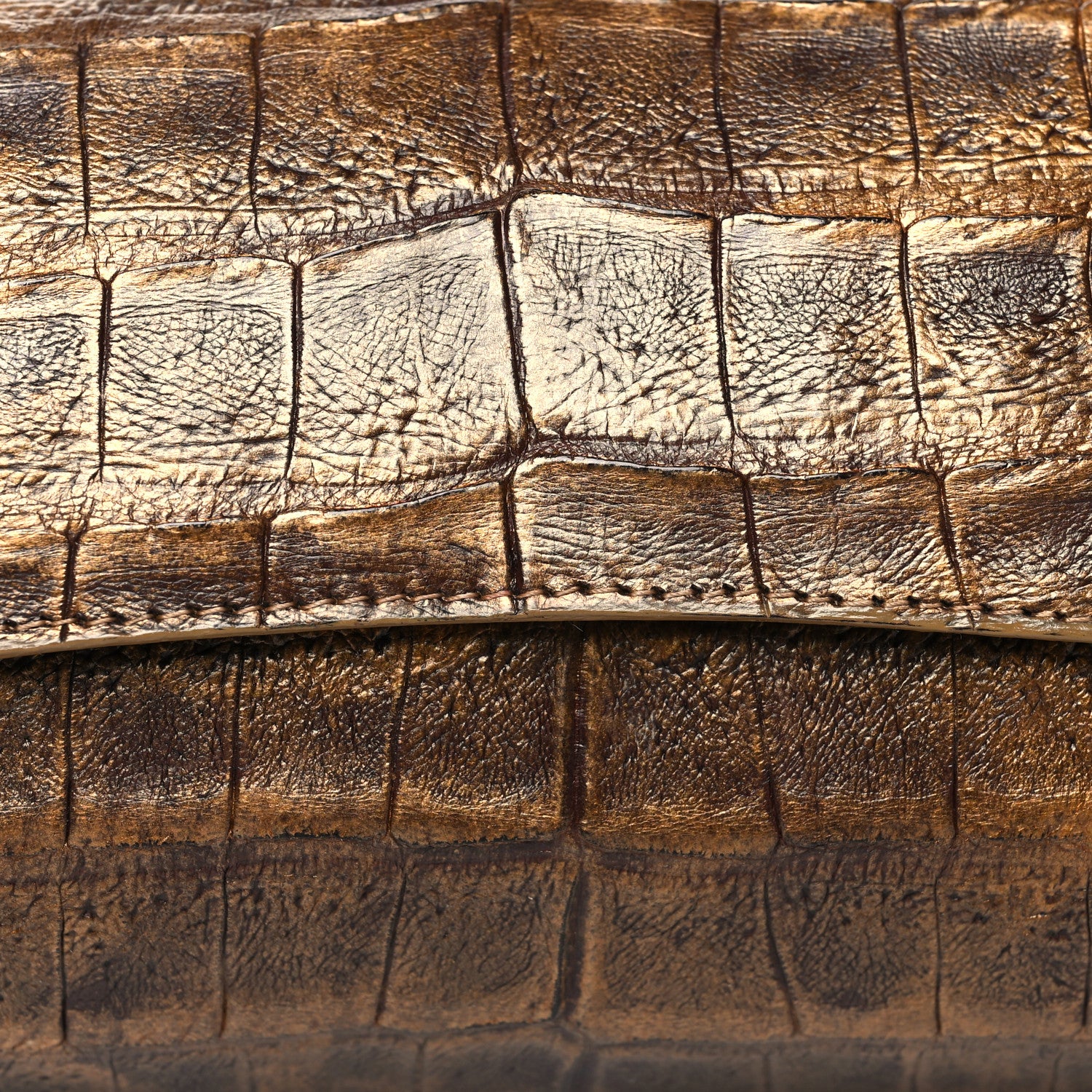 Nancy Gonzalez Metallic Crocodile Clutch Gold 7 of 13
