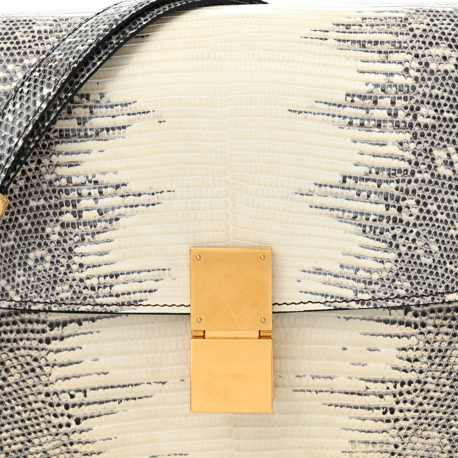 Celine Lizard Medium Classic Box Flap Bag Natural 8 of 11