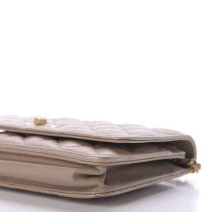 Chanel Metallic Aged Calfskin Reissue Wallet On Chain WOC Gold 7 of 11