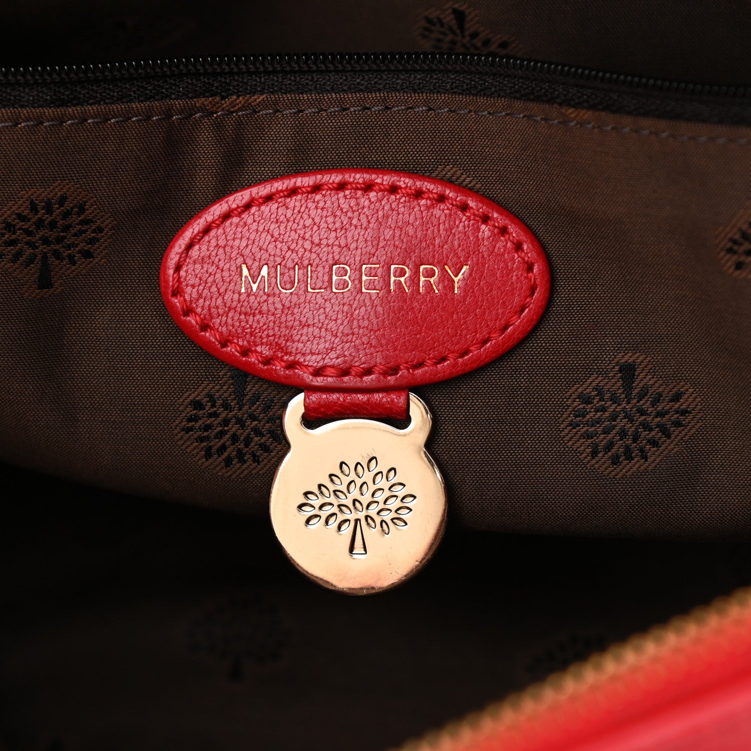 Mulberry Glossy Goatskin Small Del Rey Satchel Red 6 of 14