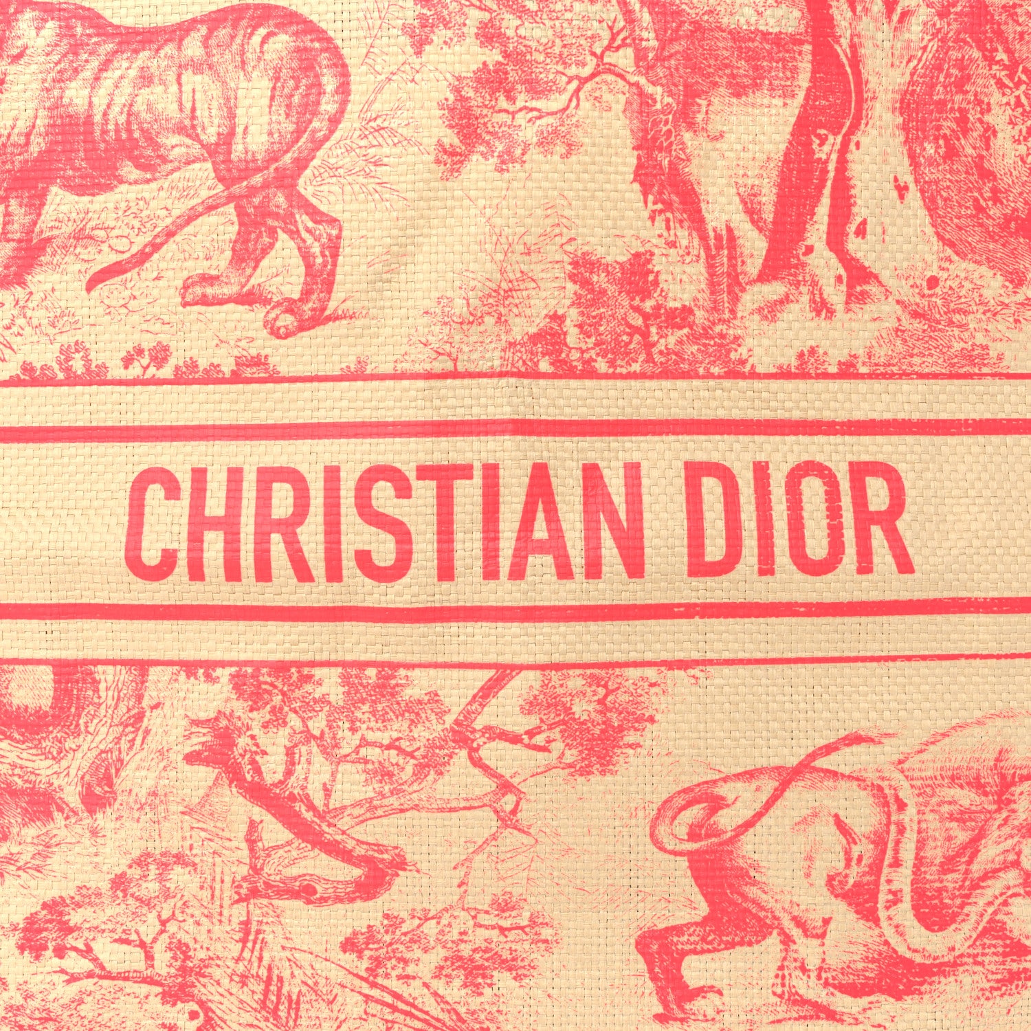 Christian Dior Straw Dioriviera Tote Pink 6 of 9