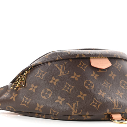 Louis Vuitton Monogram Bumbag 8 of 10