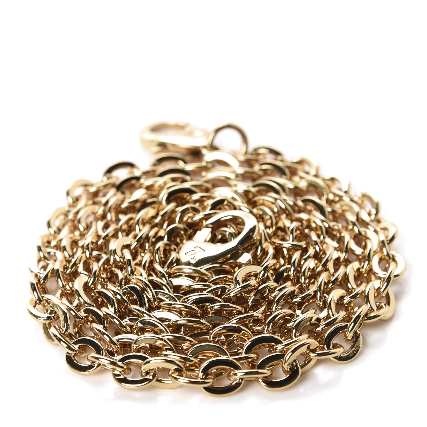 Felicie Chain Long Shoulder Strap